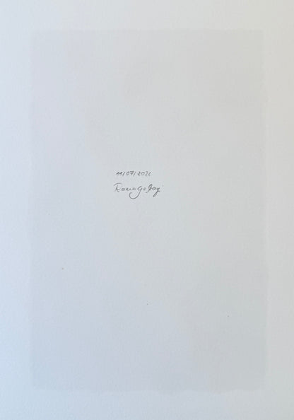 July / 11 / 2026